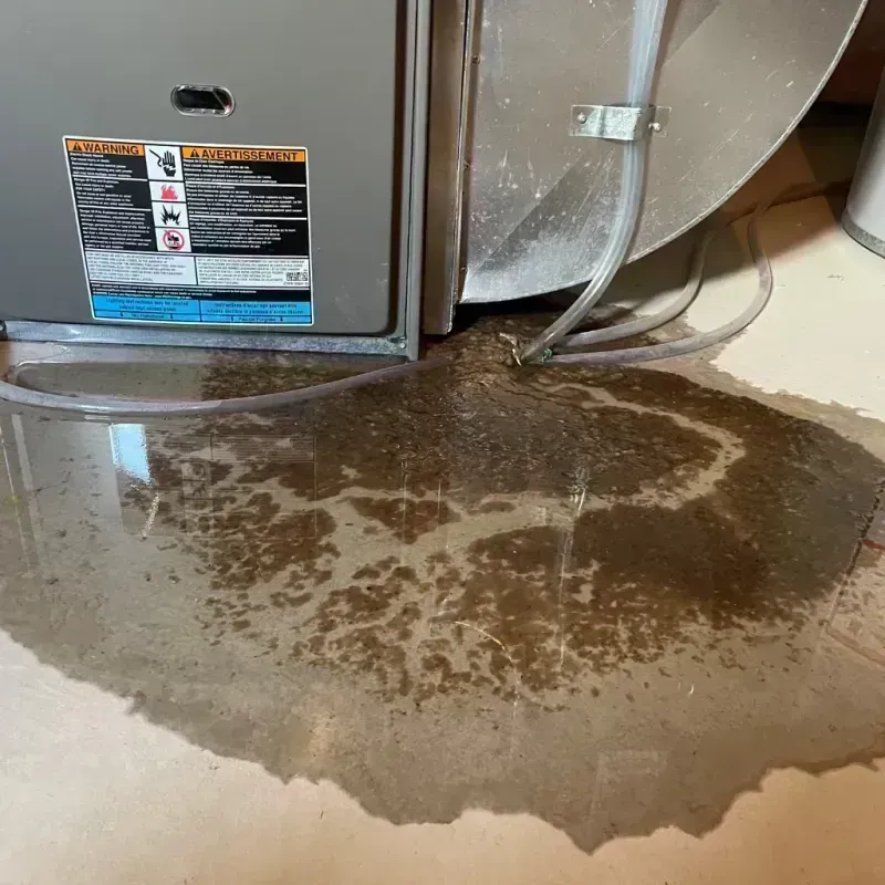 Appliance Leak Cleanup in Vail, CO